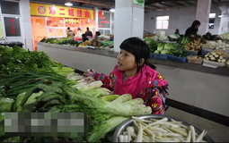 Bé gái 13 tuổi ngày nào cũng cầm đúng 3.800 đồng đi mua rau, chủ tiệm theo dõi rồi sững sờ trước sự thật