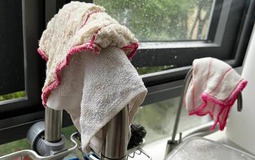 Đến lạy gia đình nào vẫn "chấp niệm" giữ 6 thứ độc hại này trong bếp