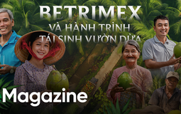Betrimex và hành trình tái sinh vườn dừa: “Cùng 13.000 nông dân, chúng tôi đang tiến vào cửa thắng của nông nghiệp Việt”