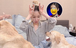 Nữ ca sĩ bị tai nạn đến hủy dung: Vết thương hoại tử 2 tháng, giờ gây sốc với "gương mặt rắn" méo mó