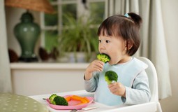 Trẻ thừa cân có cần ăn ít thịt?