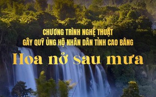 Chương trình nghệ thuật “Hoa nở sau mưa” - Sẻ chia vì đồng bào vùng bão lũ