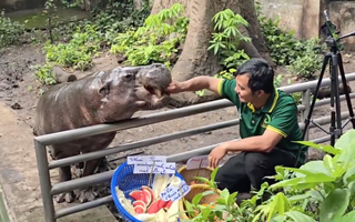 Không ngờ tới những "nhân viên tiêu biểu" đã giúp Thảo Cầm Viên đạt doanh thu trăm tỷ