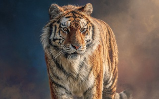 Càng gần Tết càng may: Top 3 con giáp trúng lộc nhà đất - dễ gặp đúng người, đúng giá