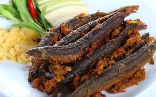 Loại cá được ví như "nhân sâm dưới nước": Vừa giàu canxi vừa giàu đạm, chợ Việt bán ê hề