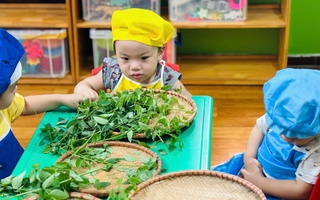 Hoang mang khi giáo viên phản ánh con đi trẻ hay cắn cấu bạn, bố mẹ nên làm gì?