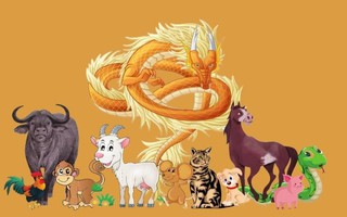 Tháng 1 âm 2 con giáp giàu có, sung túc, 2 con giáp lại cần đề phòng kẻ tiểu nhân