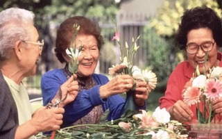 Sau nghỉ hưu, cả tin khi tham gia các nhóm người cao tuổi: Cái giá phải trả không hề nhỏ