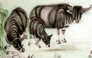 Nửa đầu năm mở vận: 4 con giáp sự nghiệp hanh thông, thu nhập tăng tốc, tiền bạc và quý nhân cùng lúc xuất hiện