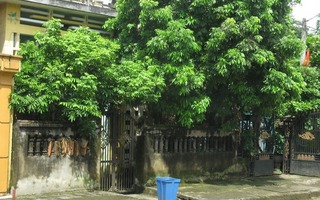 Cửa nhà có 3 thứ này, cả người lẫn của đều lao đao: Sai lầm phong thủy nhà nào cũng nên tránh