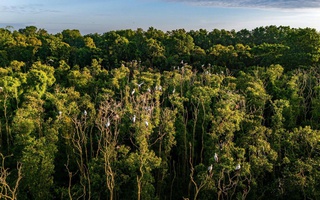 Du lịch Net Zero: Hướng đi tiên phong