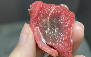 Thịt bò chuyển sang màu xám có phải bị hỏng? Chuyên gia chỉ mẹo xác định độ tươi của thịt bò