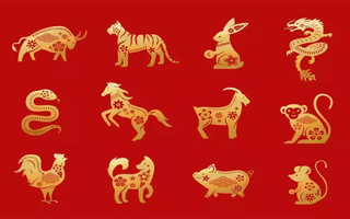 Cuối tháng 11 âm có 2 con giáp nên tận dụng thời cơ làm giàu, 1 con giáp vẫn cần thận trọng