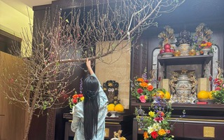 Nỗi khổ của người chơi đào huyền