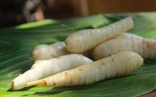 Củ dong riềng tưởng chỉ để ăn cho ấm bụng, hóa ra lại giúp xương chắc, mắt khỏe, đề kháng tốt hơn