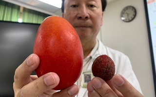 1 thứ trên người nam thanh niên bé như quả vải bỗng to bằng quả xoài, ung thư tinh hoàn dù KHÔNG đau, KHÔNG ngứa