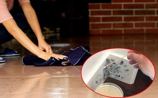 Thời tiết miền Bắc bước vào chuỗi ngày nồm ẩm: Cẩn trọng với nhiều bệnh lây truyền