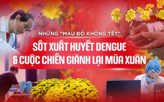 Những "màu đỏ không Tết" do Sốt xuất huyết Dengue và cuộc chiến giành lại mùa xuân