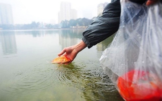 Danh sách 10 điểm thả cá "bao sạch, bao đẹp" ngày ông Táo tại Hà Nội & TP.HCM: Nói không với ao tù nước đọng!
