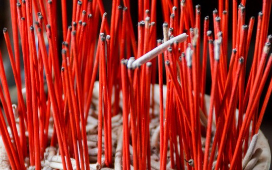 Sai lầm lớn nhất khi tỉa chân hương