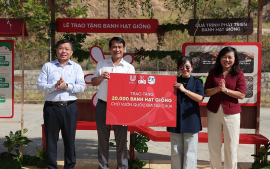 OMO viết chương tiếp của hành trình 1 triệu cây xanh: Bắt đầu từ Núi Chúa đến khắp Việt Nam