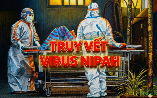 Truy vết virus Nipah