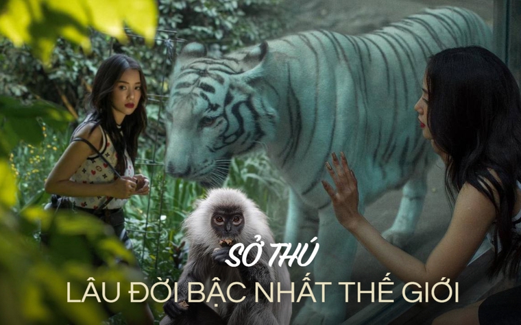 Việt Nam có 1 trong 10 sở thú lâu đời nhất thế giới, mỗi tháng thu ‘sương sương’ 800 triệu đồng nhờ điều này!