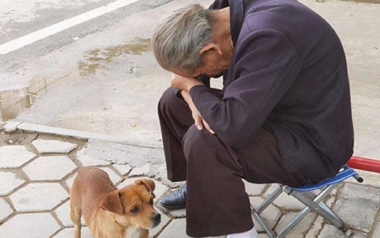 3 hình thức "bất hiếu" mới đang lan rộng, nhiều cha mẹ âm thầm chịu đựng, còn "cắn răng" ca ngợi con cái!