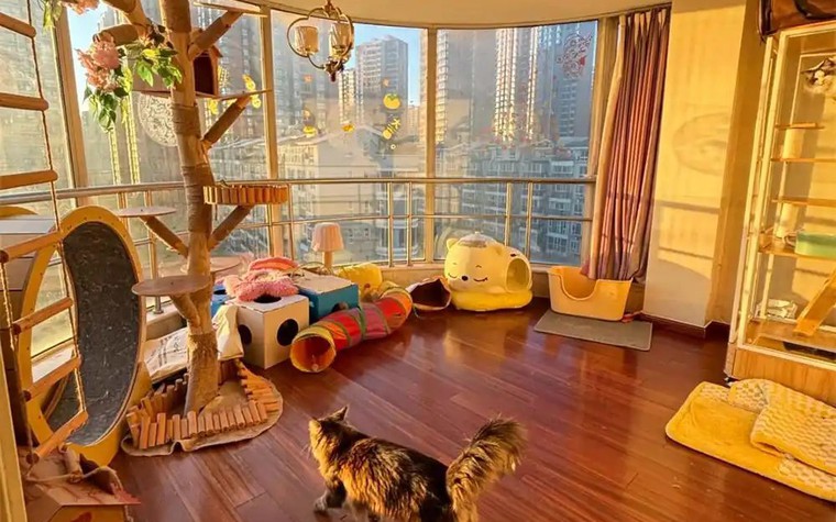 Bức ảnh chụp căn phòng kì lạ của cô gái 28 tuổi, ai nhìn cũng "cạn lời"