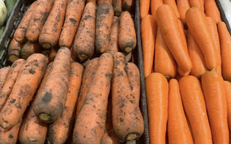 Tôi vừa nhận ra sự khác biệt lớn giữa cà rốt bám bùn đất và cà rốt trắng sạch!