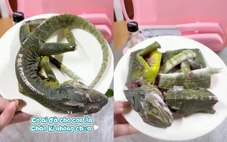 Sợ xanh mặt với thực đơn ăn dặm của 1 mẹ bỉm: Nấu cháo cho con bằng thịt... kỳ nhông