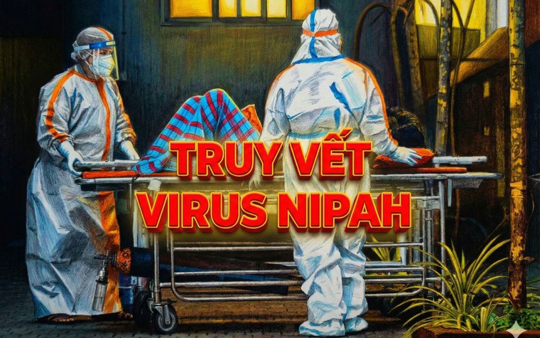 Truy vết virus Nipah