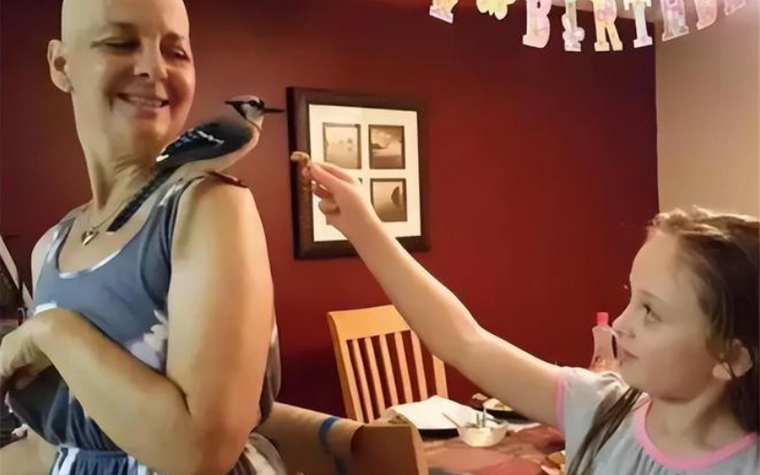 Được cứu sống lúc hấp hối, chú chim nhỏ "trả ơn" người phụ nữ mắc ung thư theo cách bác sĩ cũng ngỡ ngàng